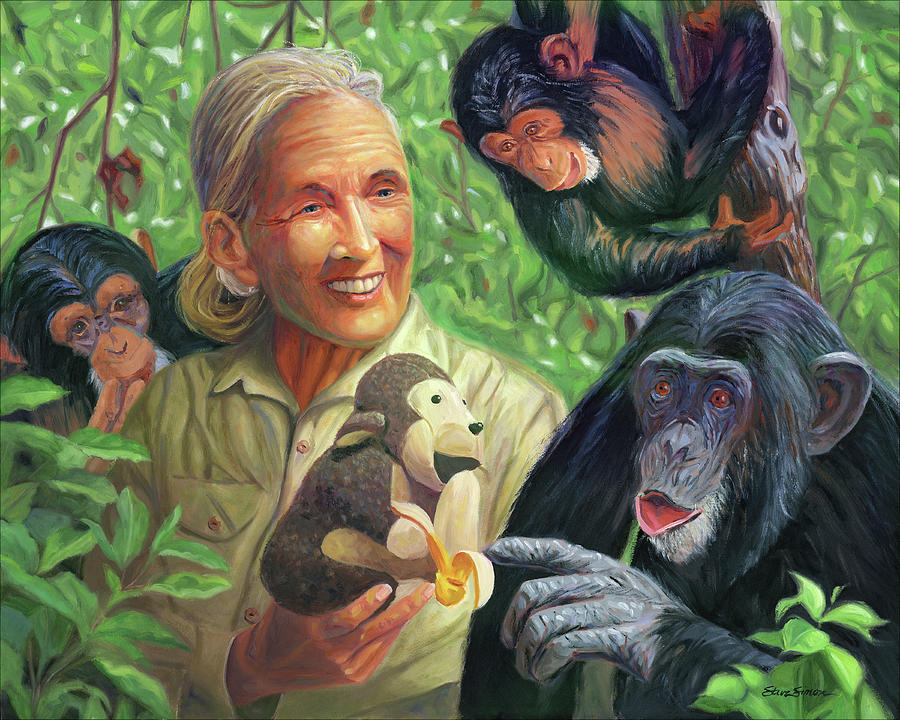 Jane Goodall Painting by Steve Simon