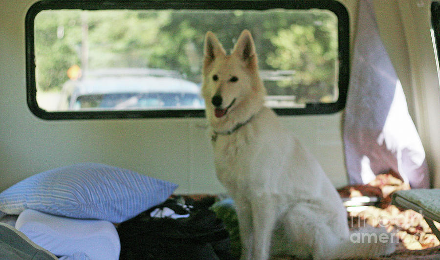 Jane riding in the bus camping at Cape Lookout Photograph by Margaret Hood