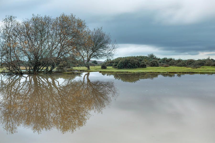 Janesmoor Pond - New Forest Photograph by Joana Kruse