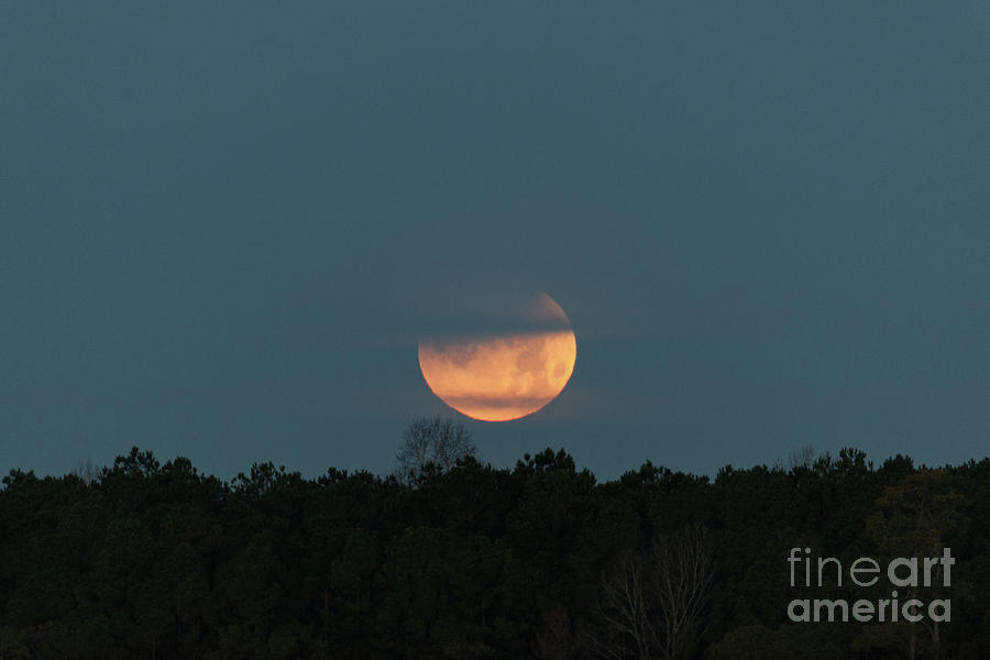 January 2018 Full Moon Photograph by Dale Powell