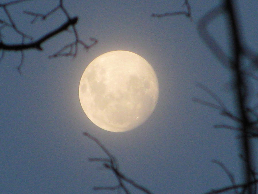 January Blue Moon Photograph by Lindie Racz