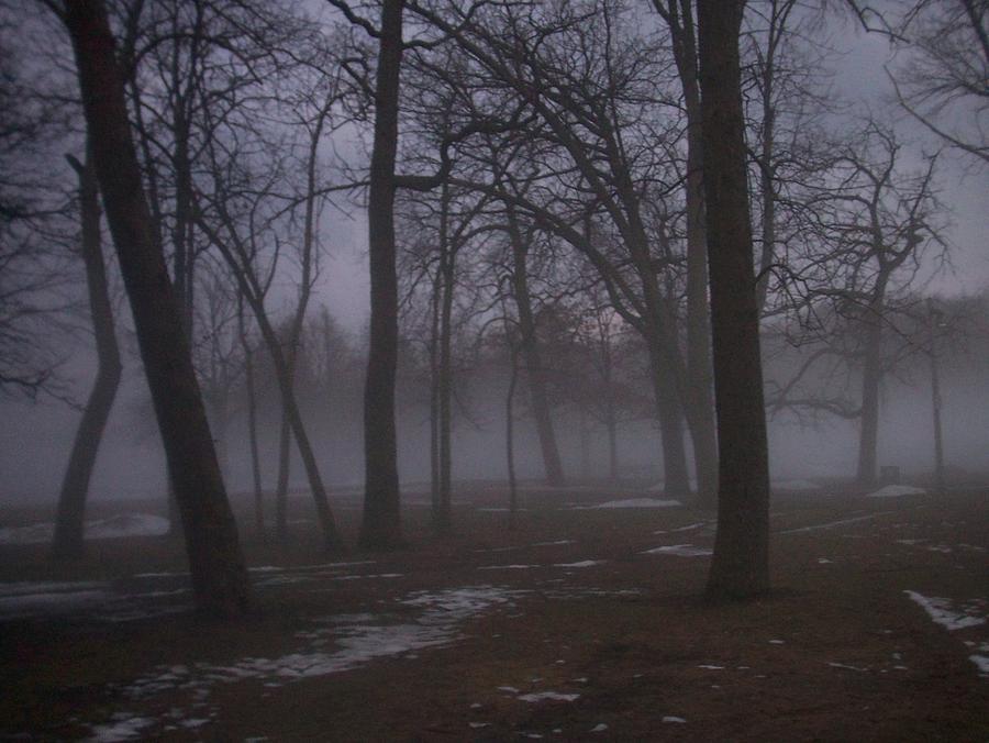 January fog 2 Photograph by Anita Burgermeister