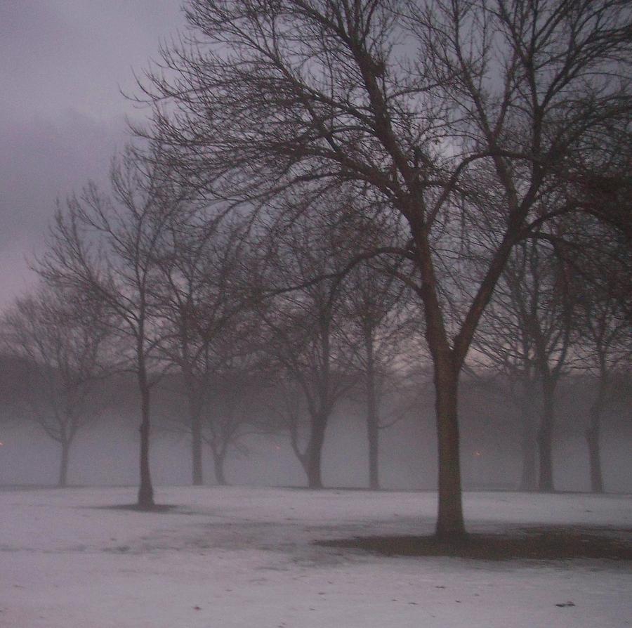 January fog 4 Photograph by Anita Burgermeister