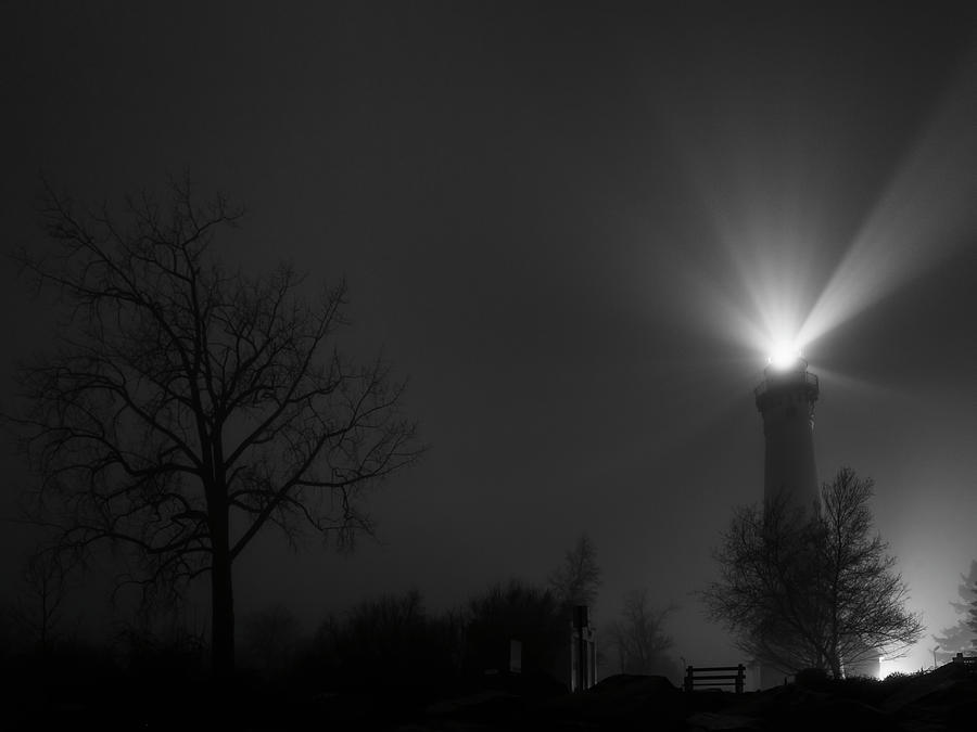 January Fog Photograph by CJ Schmit