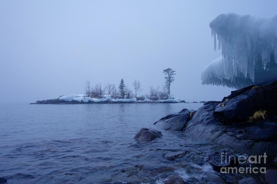 Ice Photograph - January Foggy Morning by Sandra Updyke