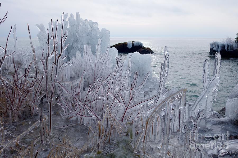January Ice Photograph by Sandra Updyke