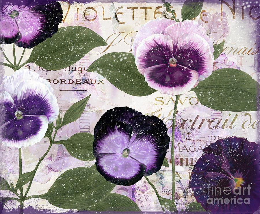 January Purple Pansies Painting by Mindy Sommers