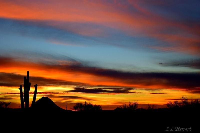 January Sunset Photograph by L L Stewart
