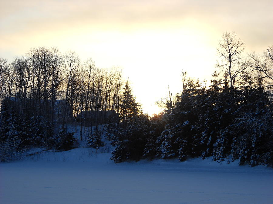 January Winter Morninng Photograph by Kent Lorentzen
