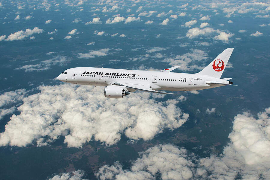 Japan Airlines Boeing 787-8 Dreamliner Digital Art by Erik Simonsen