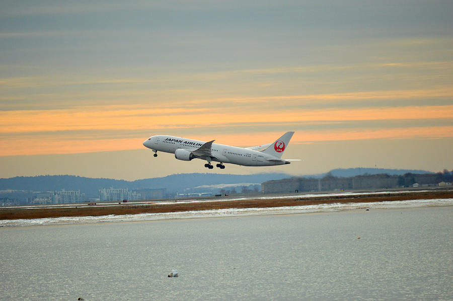 Sunset Photograph - Japan Airlines by Daniel Sullivan