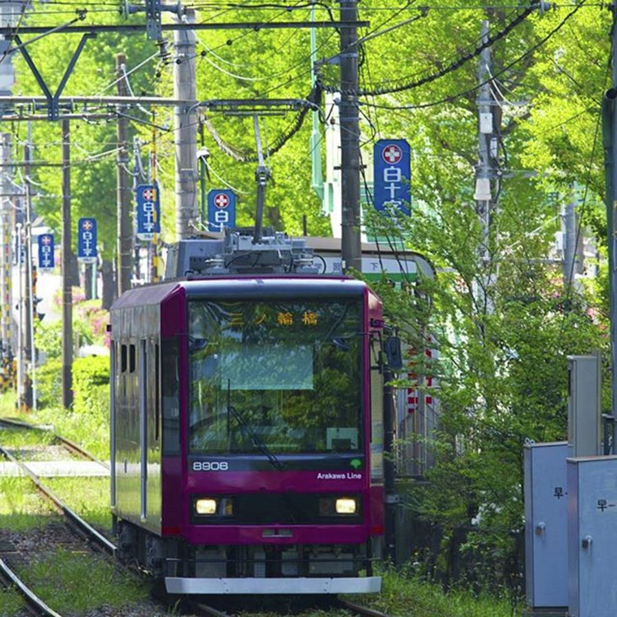 Spring Photograph - #japan #tokyo #railway #train #tram by Kujira Nijino