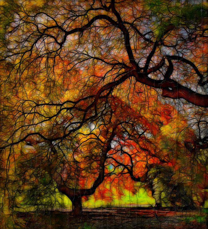Japanes Maples 2 Crackled Photograph by Scott Fracasso