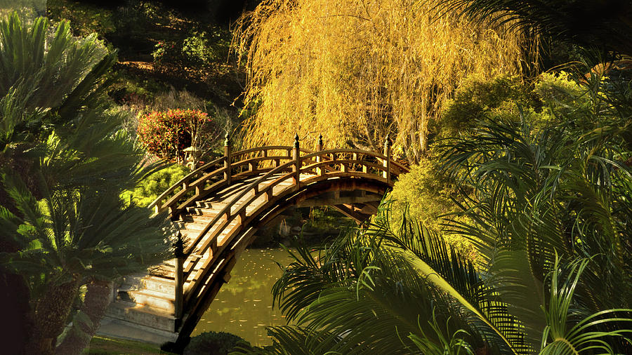 Nature Photograph - Japanese Bridge by Howard Dando