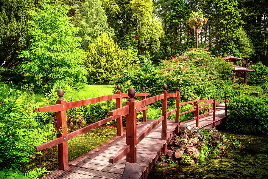 Japanese Bridge in the Garden Photograph by Debra and Dave Vanderlaan