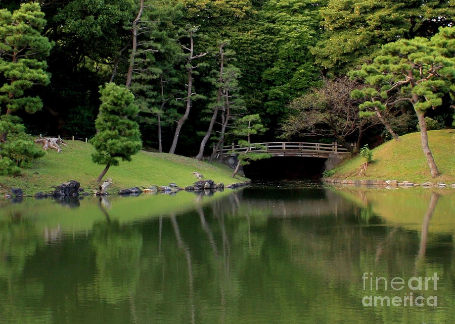 Japanese Garden Bridge Reflection Photograph by Carol Groenen