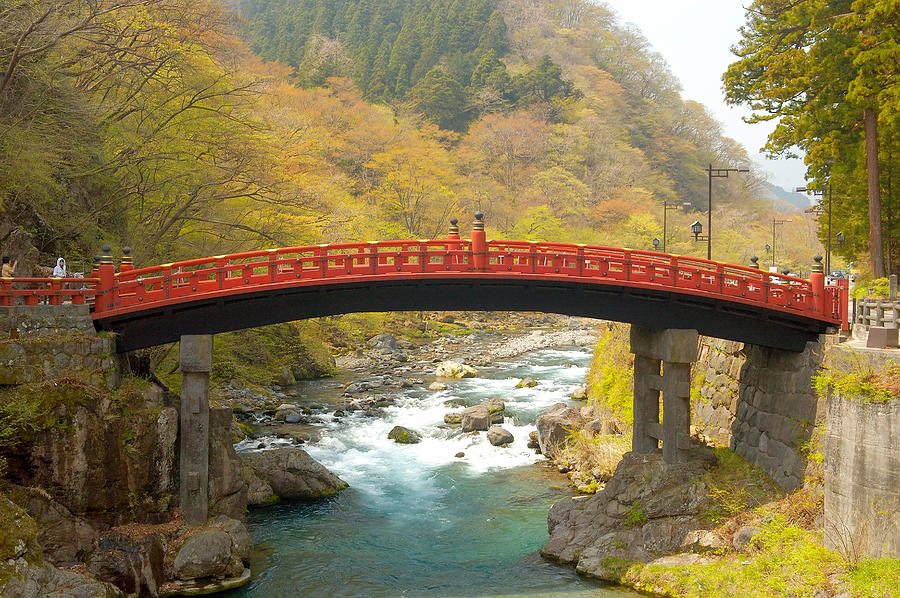 Japanese Bridge Photograph by Sebastian Musial