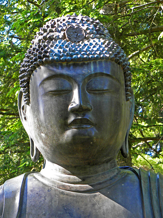 Japanese Buddha Photograph by Elizabeth Hoskinson