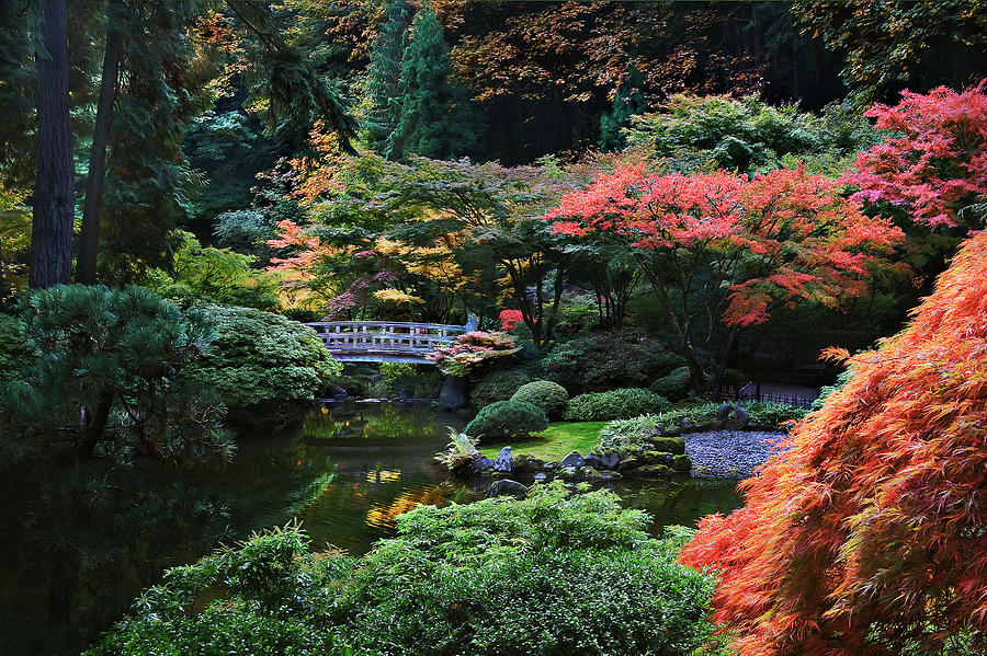 Japanese Fall Photograph by John Christopher