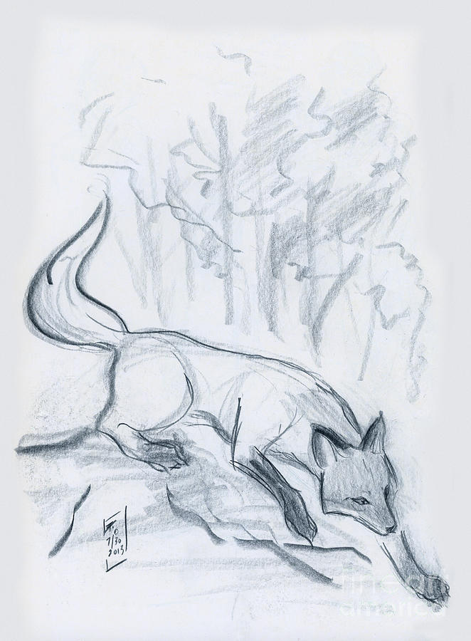 Black And White Drawing - Japanese Fox Sketch by Brandy Woods