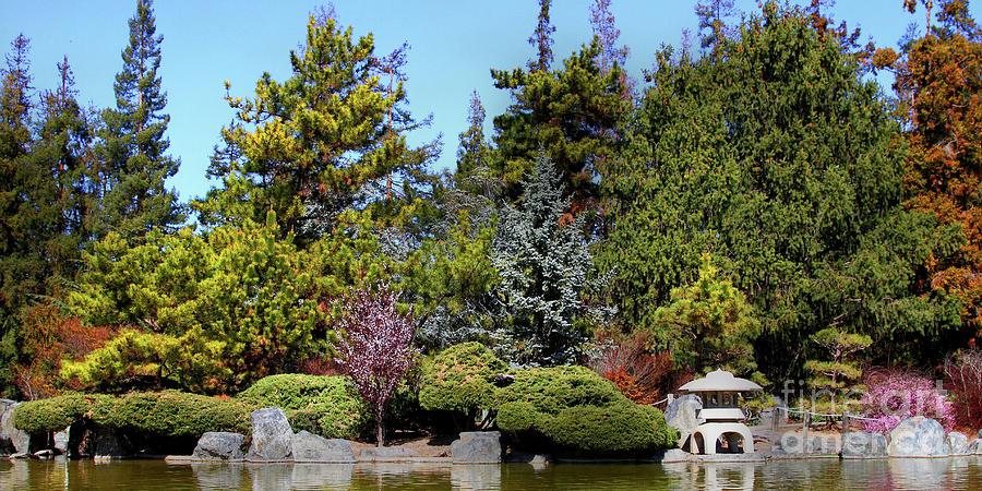 Japanese Friendship Garden San Jose California 7D12781long Photograph by Wingsdomain Art and Photography