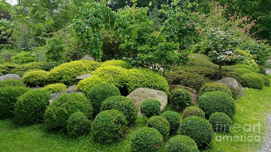 Japanese garden -1 Photograph by Susanne Baumann