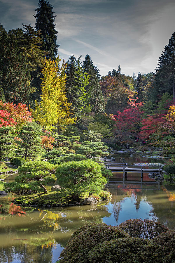 Japanese Garden- 2 Photograph by Calazone's Flics - Fine Art America