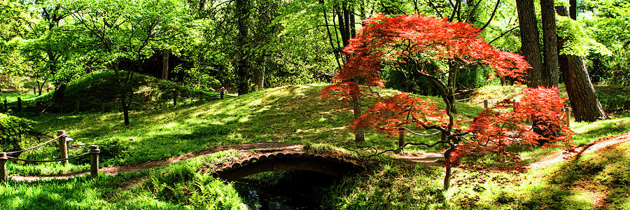 Japanese Garden -5 Photograph by Alan Hausenflock