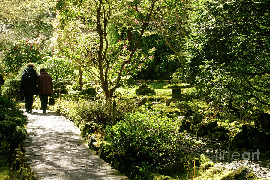 Japanese Garden at Butchart Gardens in spring Photograph by Louise Heusinkveld