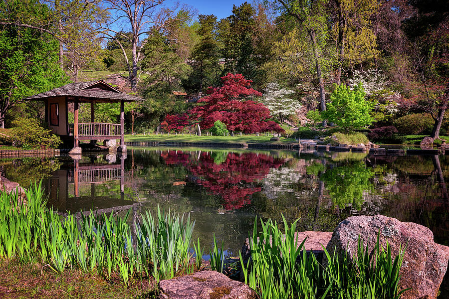 Richmond Photograph - Japanese Garden at Maymont by Rick Berk