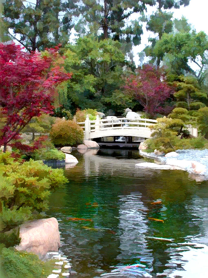 japanese koi garden