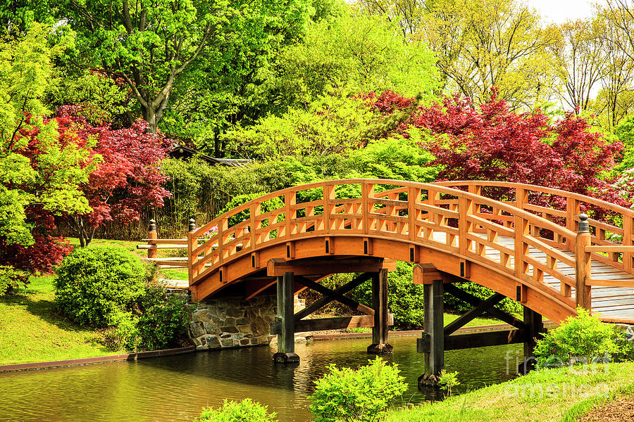 Japanese Garden Bridge Photograph by Ben Graham