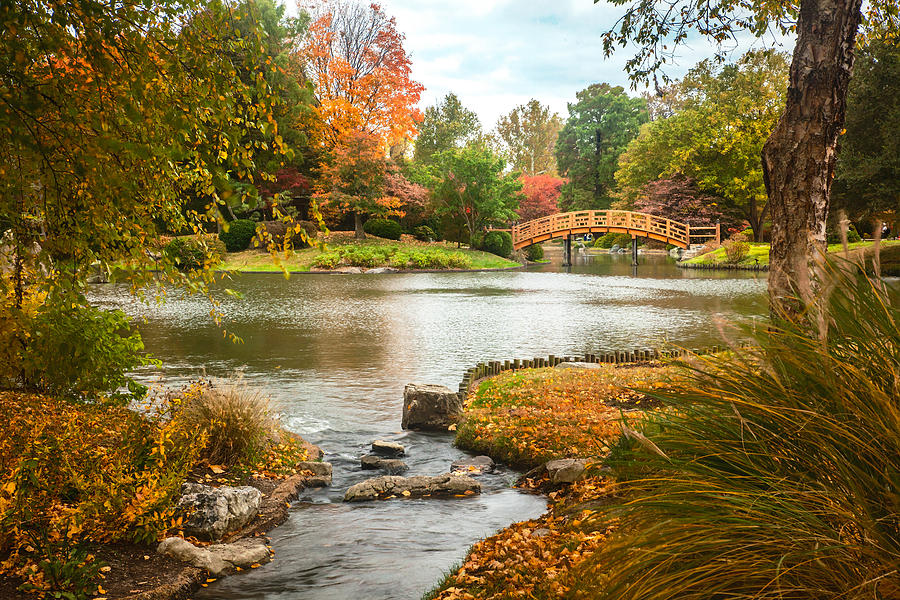 Japanese Garden Bridge Fall Photograph by David Coblitz