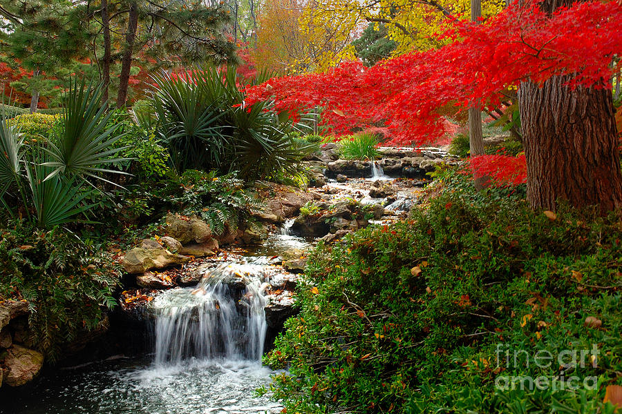 Japanese Garden Brook Photograph by Jon Holiday