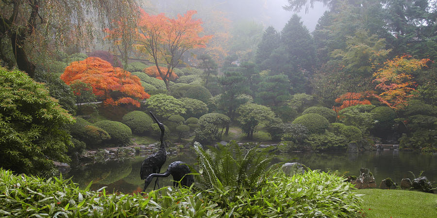 Japanese Garden Cranes Photograph by Wes and Dotty Weber
