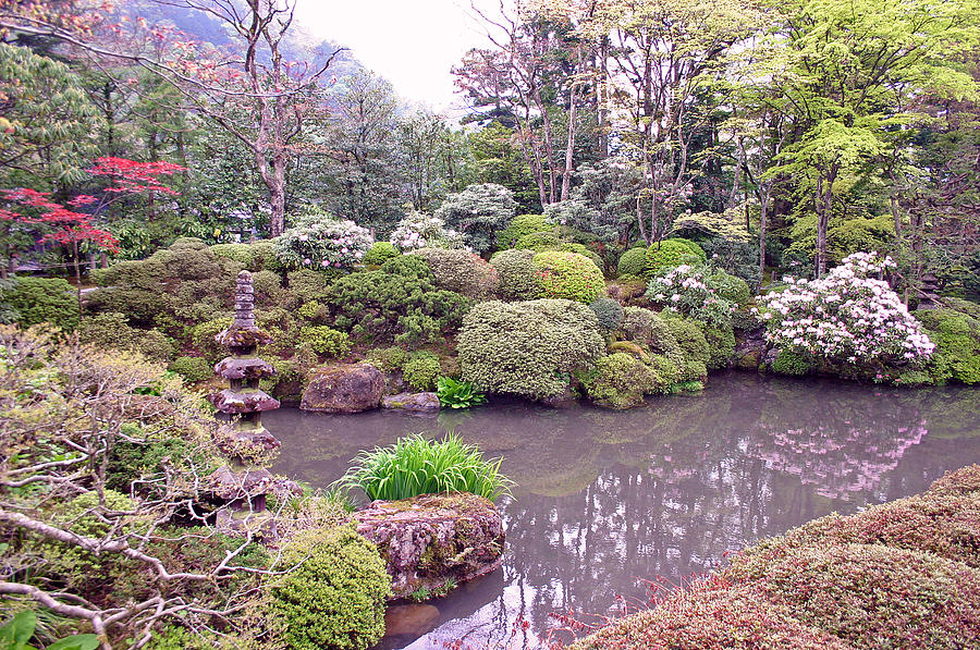 Tree Photograph - Japanese Garden by David Rucker