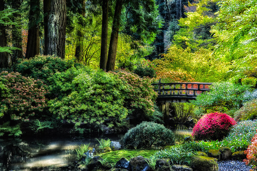 Japanese Garden Photograph by Harry Spitz