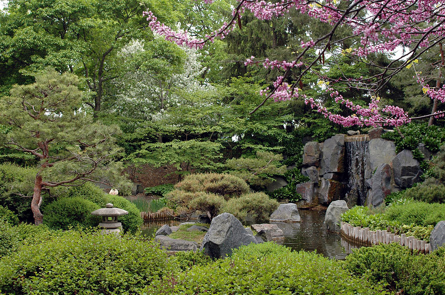 Japanese Garden II Photograph by Kathy Schumann | Fine Art America