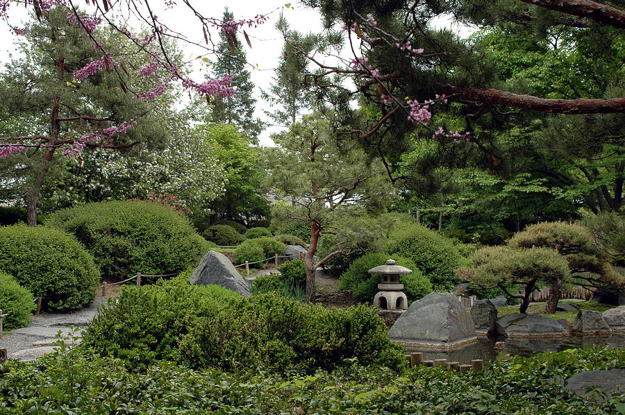 Landscape Photograph - Japanese Garden III by Kathy Schumann