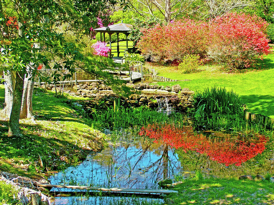 Japanese Garden in Bellingrath Gardens in  Mobile, Alabama Photograph by Ruth Hager