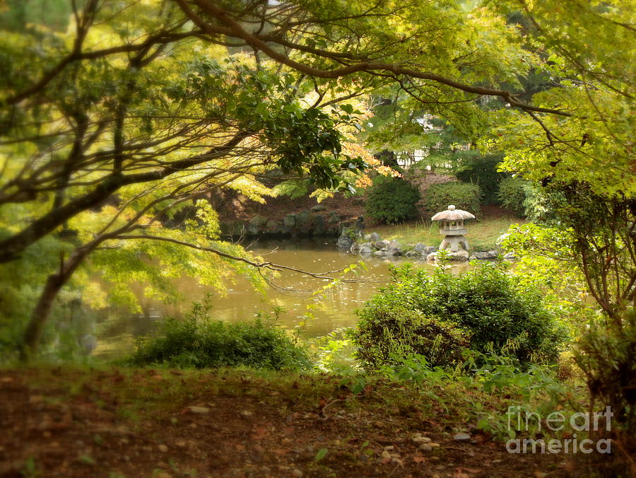 Japanese Garden in Kyoto Photograph by Carol Groenen