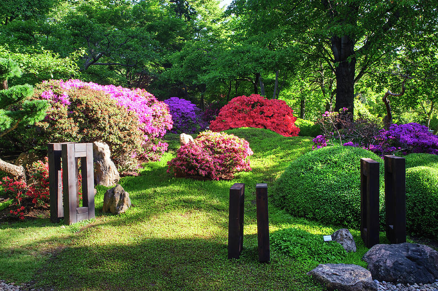 Japanese Garden in Spring 1. Prague Photograph by Jenny Rainbow