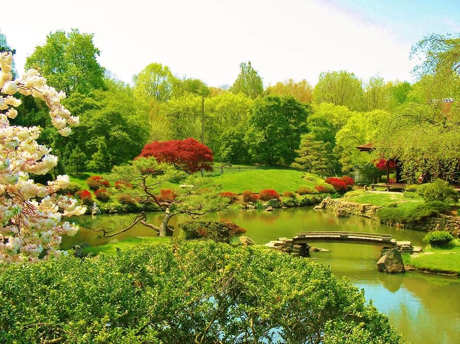 Japanese Garden In Spring Photograph by Marla McPherson