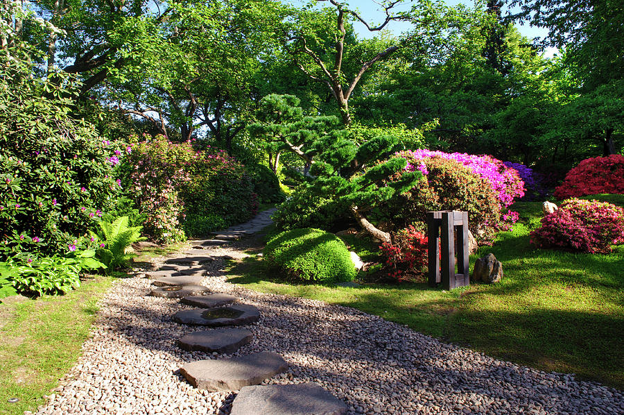 Japanese Garden in Spring. Prague Photograph by Jenny Rainbow