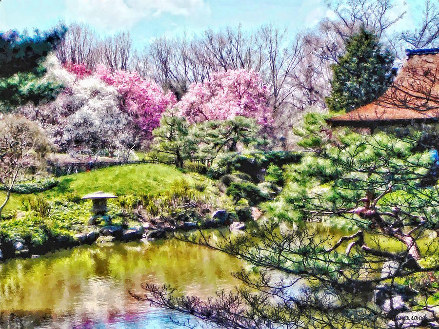 Japanese Garden in Spring Photograph by Susan Savad