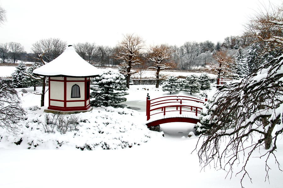 Winter Photograph - Japanese Garden in Winter by Laurie Prentice