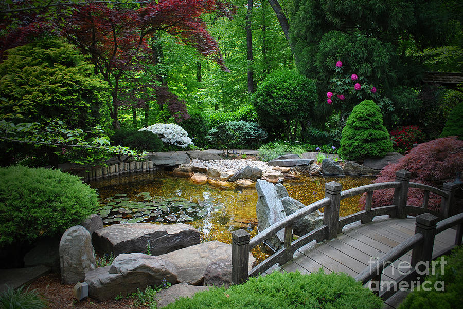 Japanese Garden Photograph by Jost Houk - Fine Art America