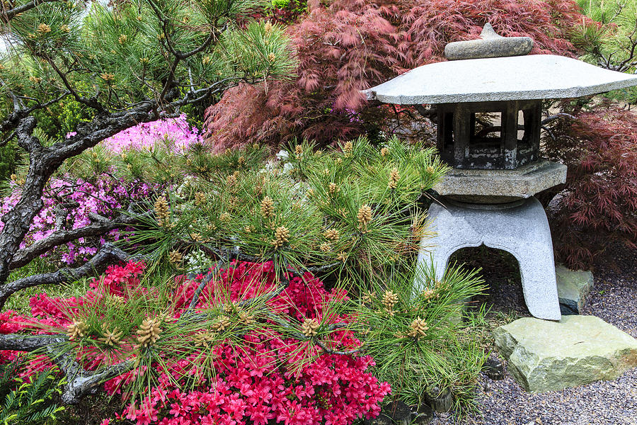 Japanese Garden Lantern Photograph by Ben Graham