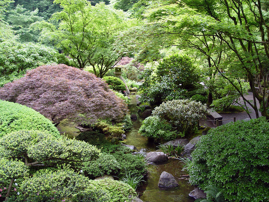 Japanese Garden Photograph by Loretta Luglio