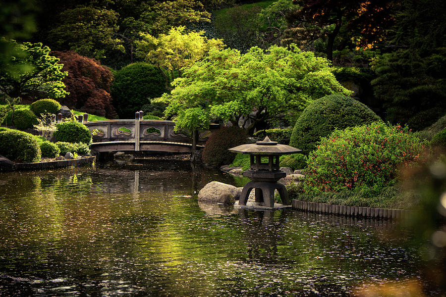 Nature Photograph - Japanese Garden by Mary DUrso